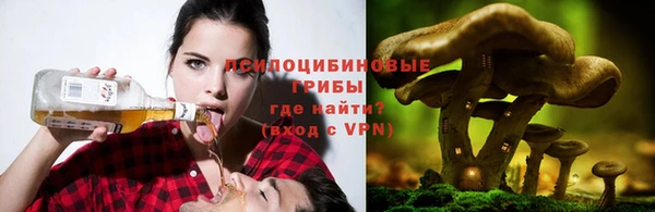 каннабис Михайловка