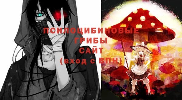 a pvp Михайлов