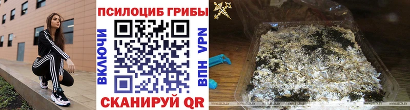 Галлюциногенные грибы Cubensis  как найти наркотики  Электроугли 